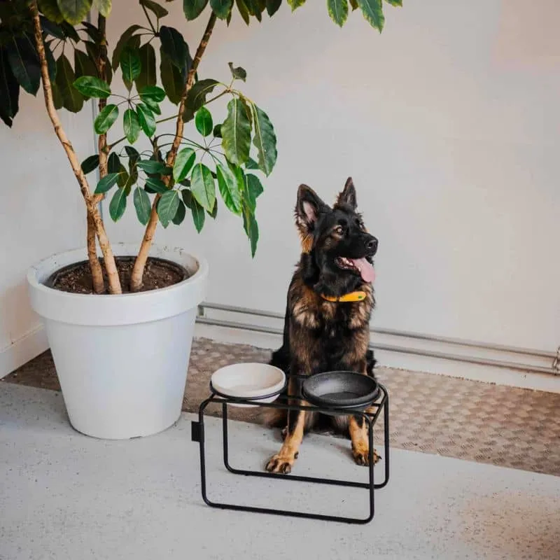 SUPPORT SURÉLEVÉ POUR GAMELLE DOUBLE POUR CHIEN - MÉTAL NOIR