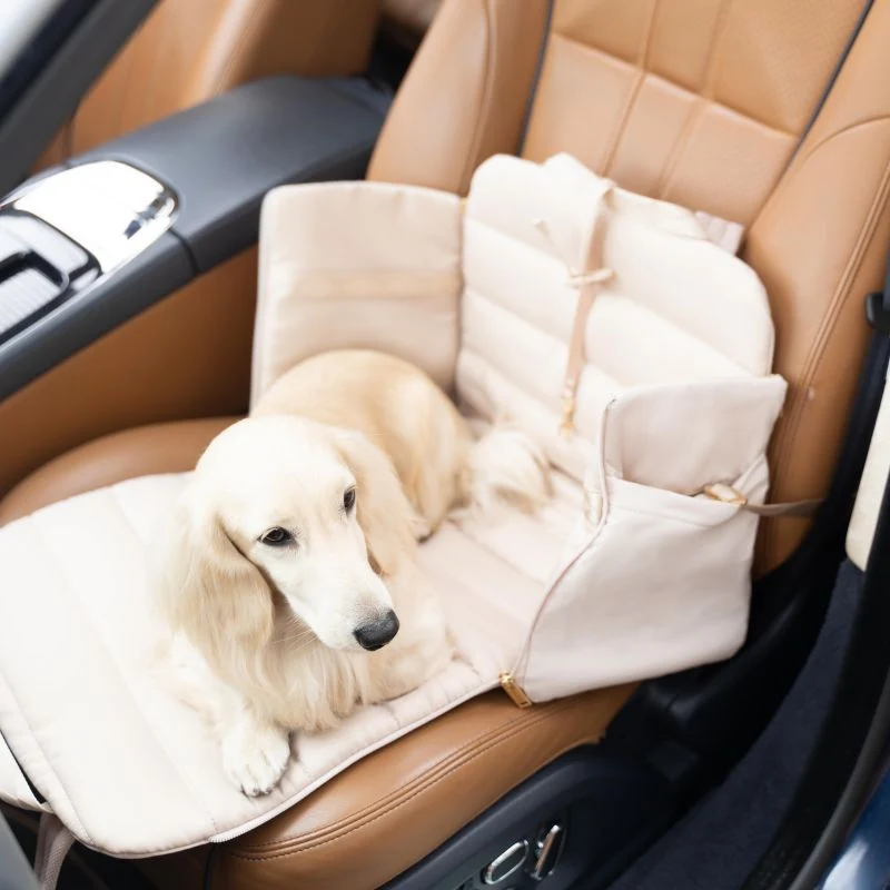 SAC DE TRANSPORT CONVERTIBLE & PLIABLE POUR CHIEN - BEIGE SABLE