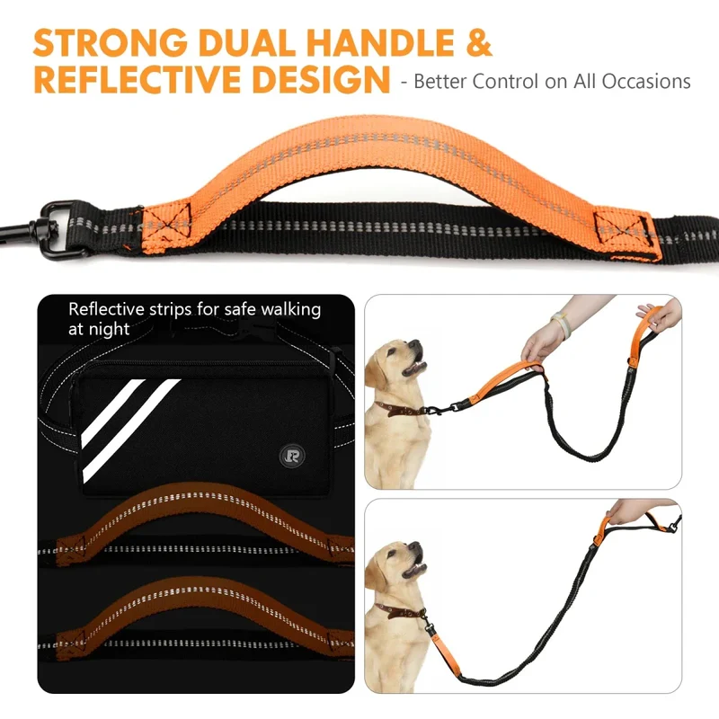 Laisse Canicross Mains Libres Gros Chien