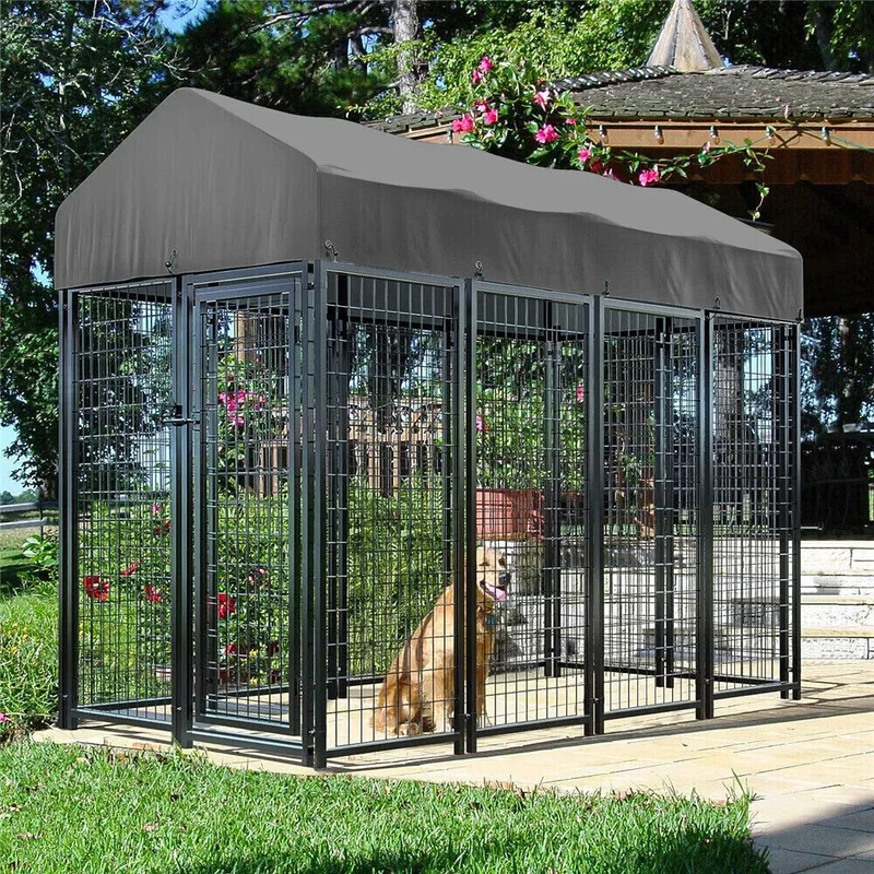 Enclos Chien Grillage Soudé avec Toit pour Extérieur