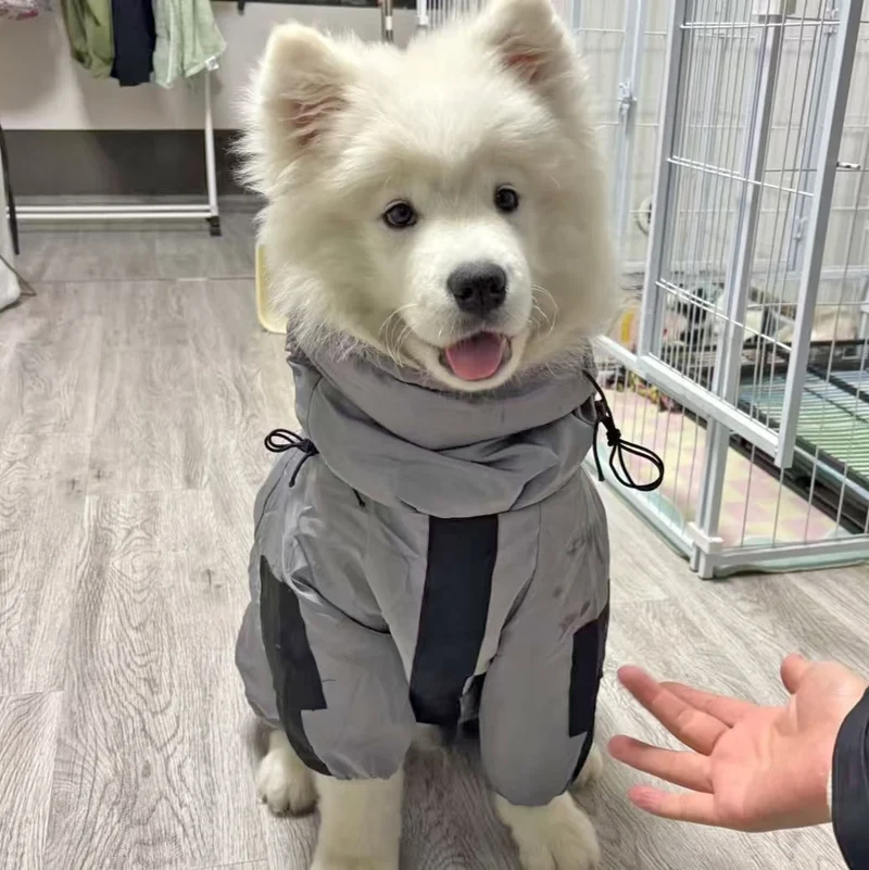 Combinaison Imperméable Réfléchissante Grand Chien 3XL-6XL