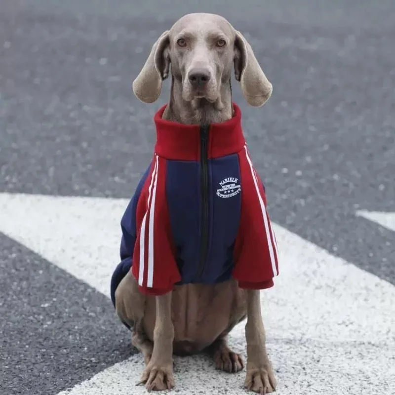 Manteau Polaire Zippé Chaud pour Grand Chien