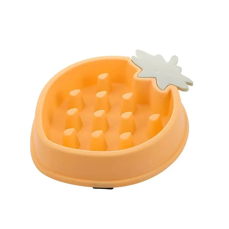 Gamelle Anti-Glouton Chiot Motifs Fruités