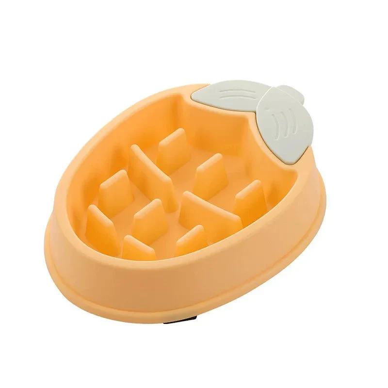 Gamelle Anti-Glouton Chiot Motifs Fruités