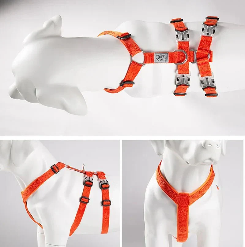 Harnais Réglable Bleu Berger Allemand Gros Chien
