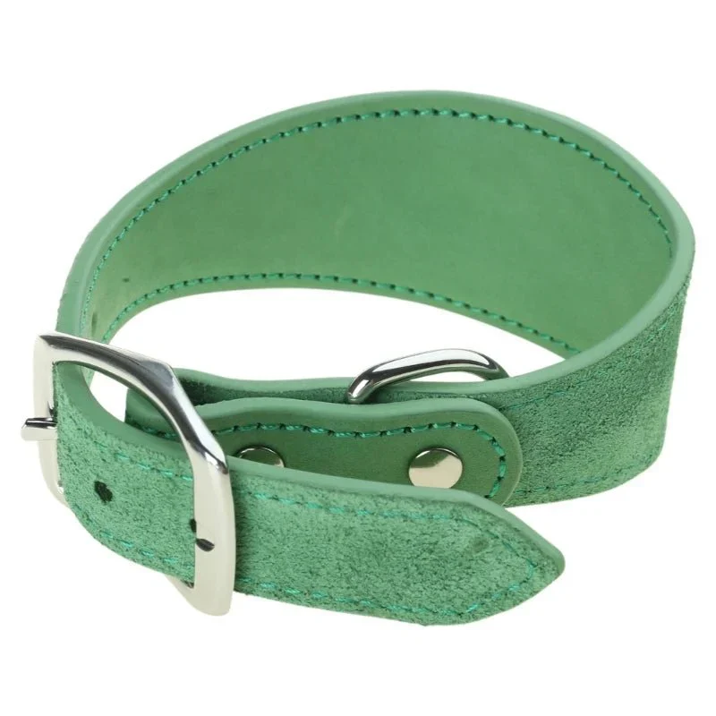 Collier Chiot Réglable Levrette Whippet Gros Chien
