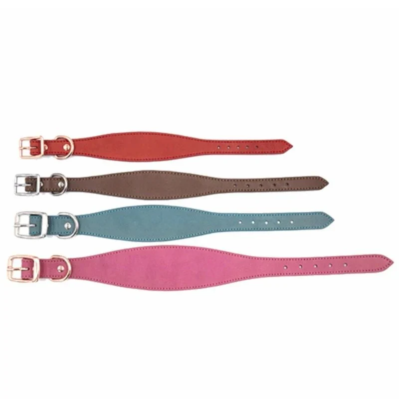 Collier Chiot Réglable Levrette Whippet Gros Chien