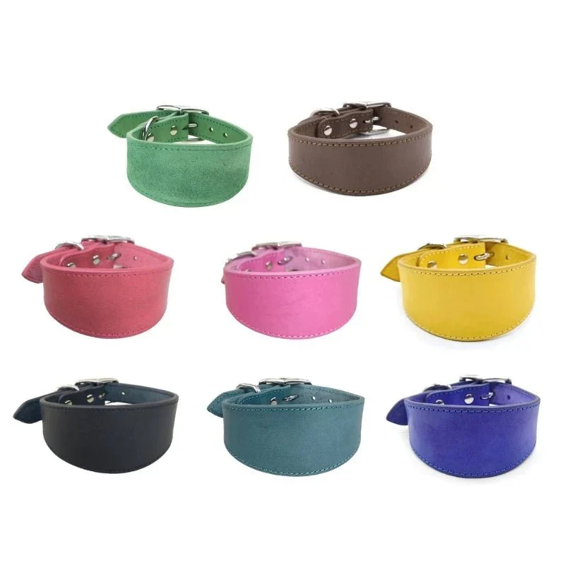 Collier Chiot Réglable Levrette Whippet Gros Chien
