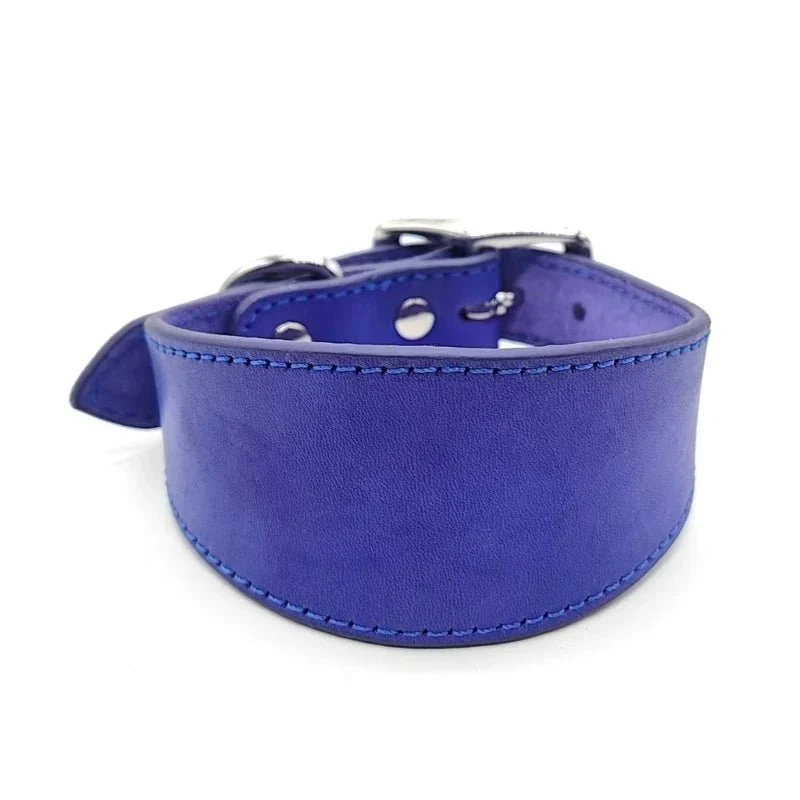 Collier Chiot Réglable Levrette Whippet Gros Chien