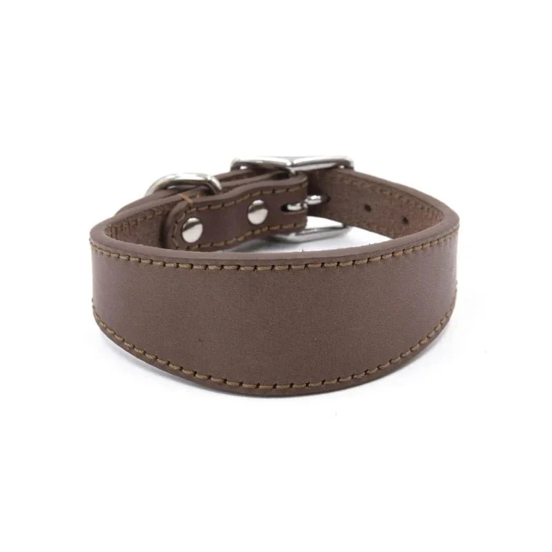 Collier Chiot Réglable Levrette Whippet Gros Chien