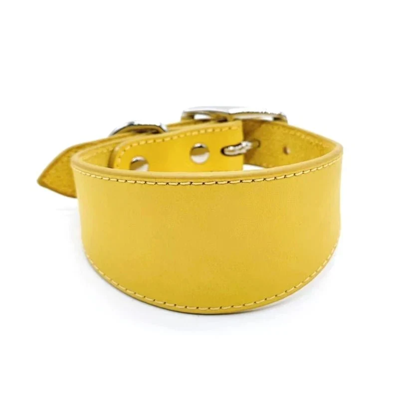 Collier Chiot Réglable Levrette Whippet Gros Chien