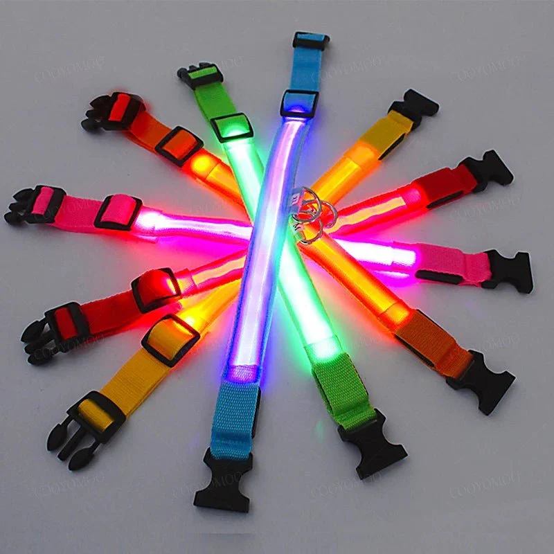Collier Lumineux USB Réchargeable Gros Chien