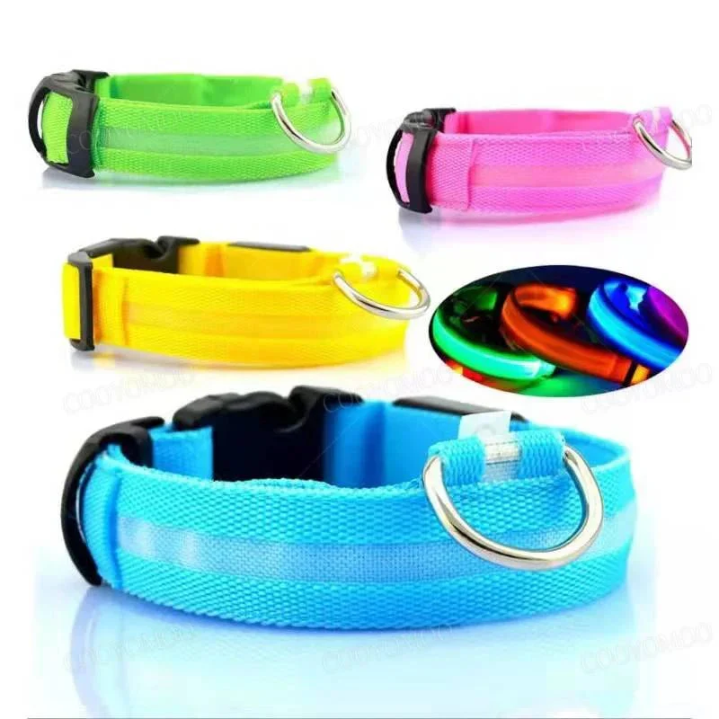 Collier Lumineux USB Réchargeable Gros Chien