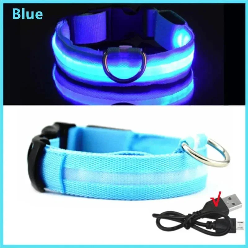 Collier Lumineux USB Réchargeable Gros Chien