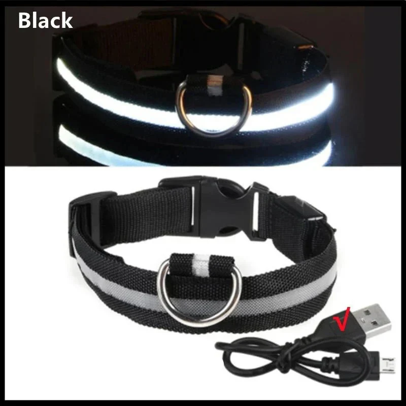 Collier Lumineux USB Réchargeable Gros Chien