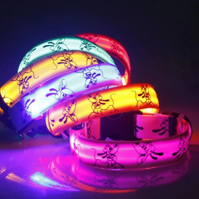 Collier LED Rechargeable USB Gros Chien Étanche