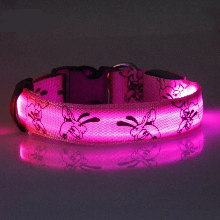 Collier LED Rechargeable USB Gros Chien Étanche