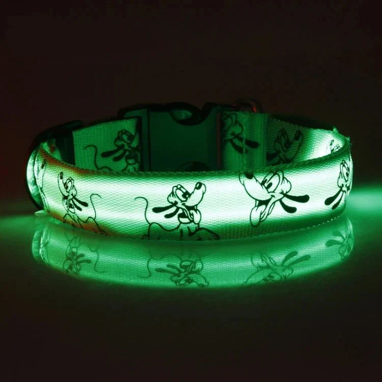 Collier LED Rechargeable USB Gros Chien Étanche