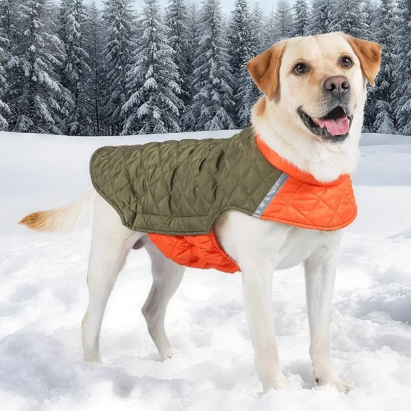 Manteau Imperméable Réfléchissant Hiver pour Gros Chien