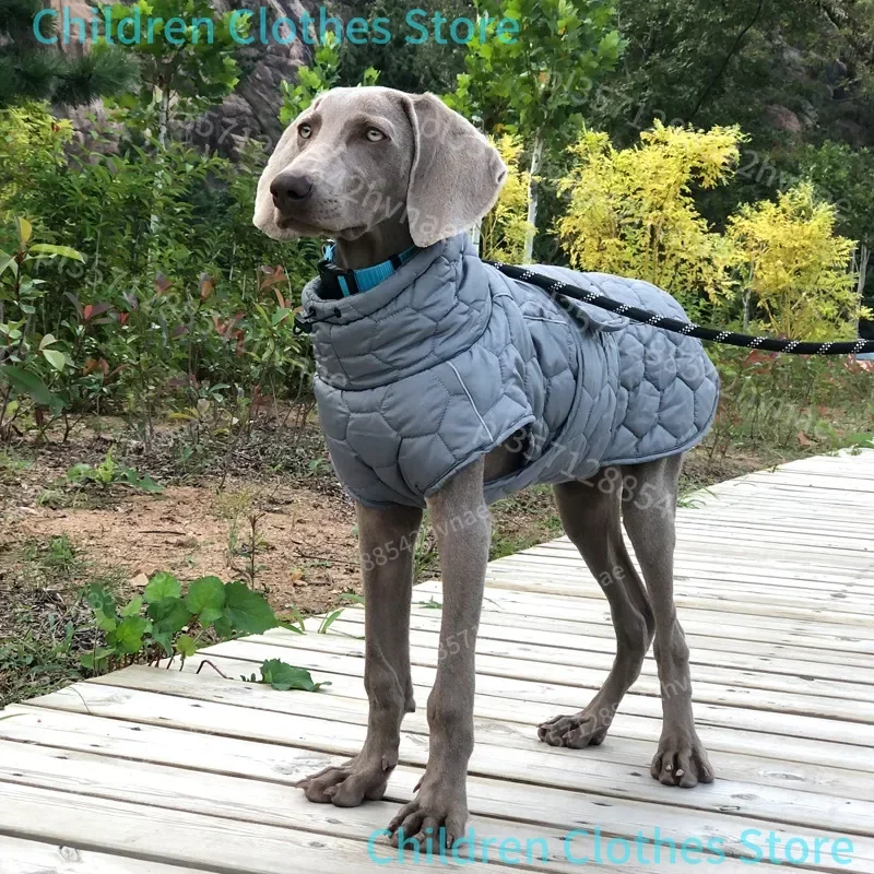 Manteau Épais Réfléchissant Doublé Polaire Lévrier Whippet