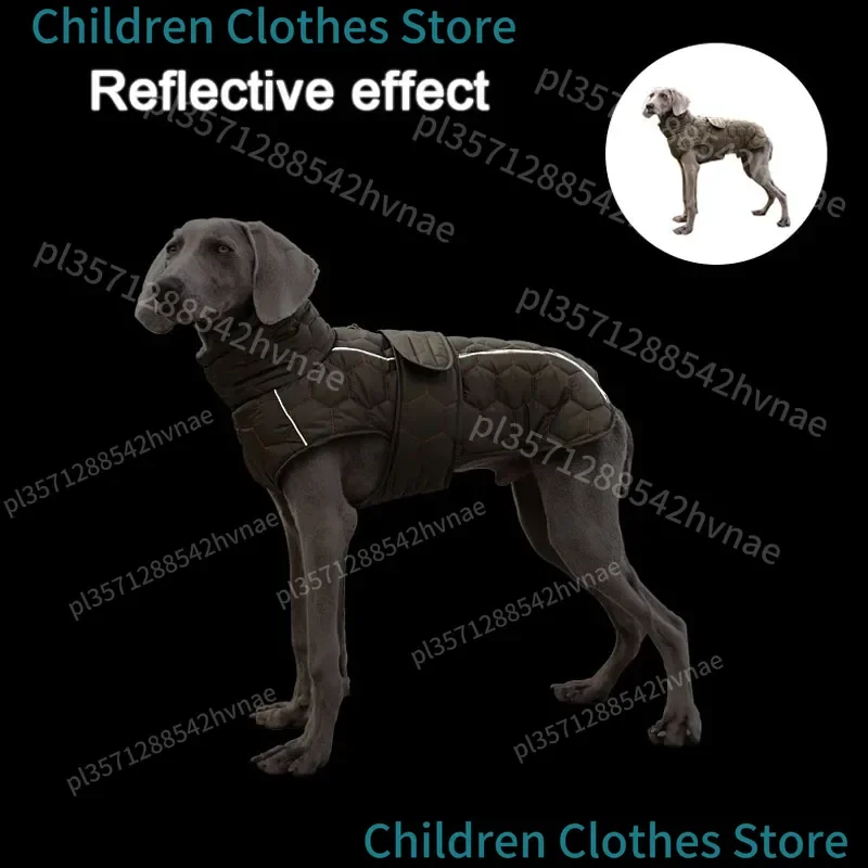 Manteau Épais Réfléchissant Doublé Polaire Lévrier Whippet