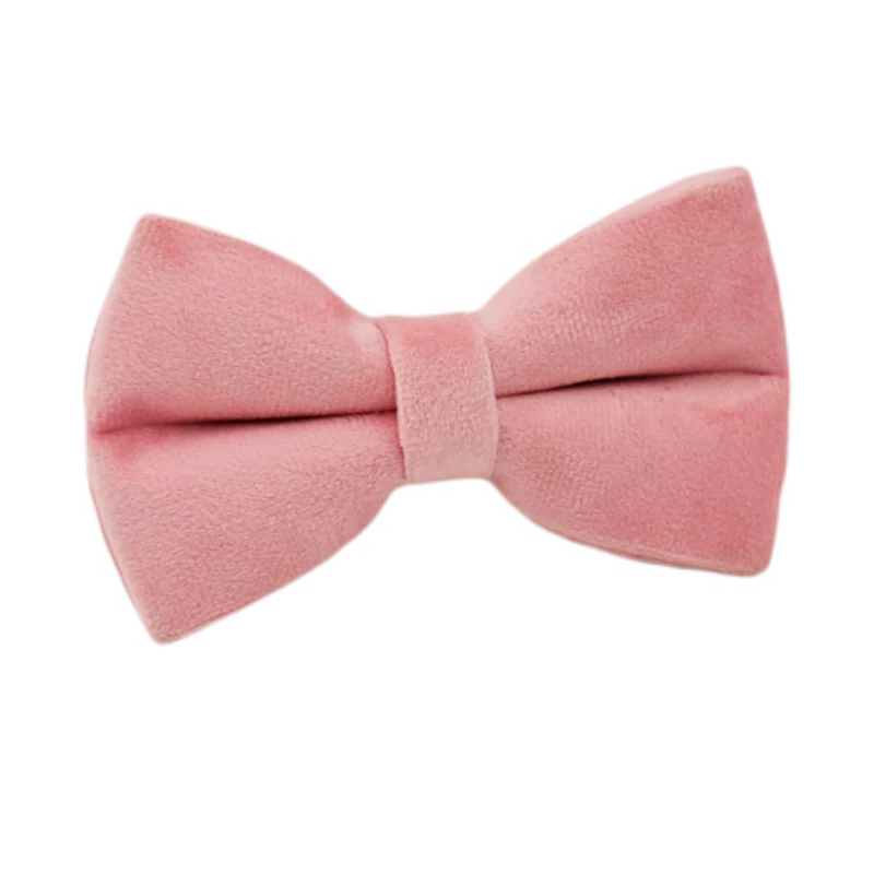 Collier et Laisse Velours Rose Harnais Assorti Chien
