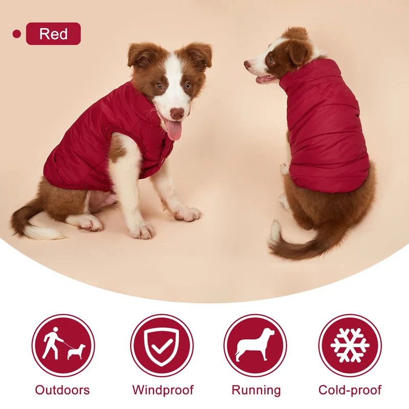 Manteau d'Hiver Matelassé Chien Doublure Sherpa