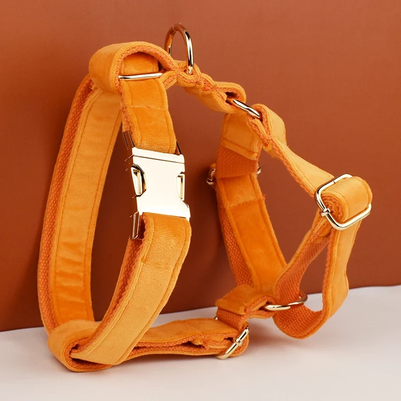 Collier et Laisse Velours Orange Personnalisé Chien
