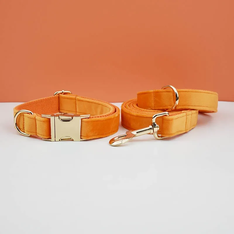 Collier et Laisse Velours Orange Personnalisé Chien
