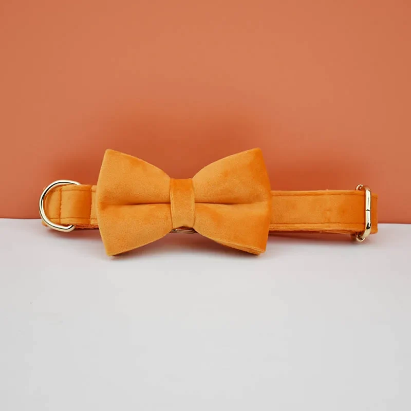 Collier et Laisse Velours Orange Personnalisé Chien