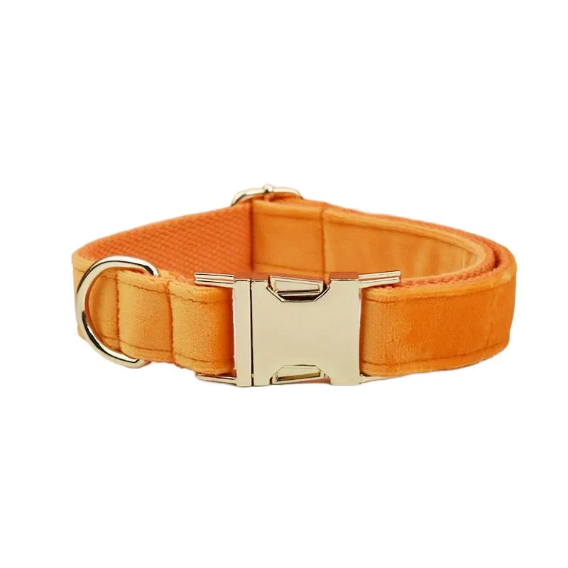 Collier et Laisse Velours Orange Personnalisé Chien