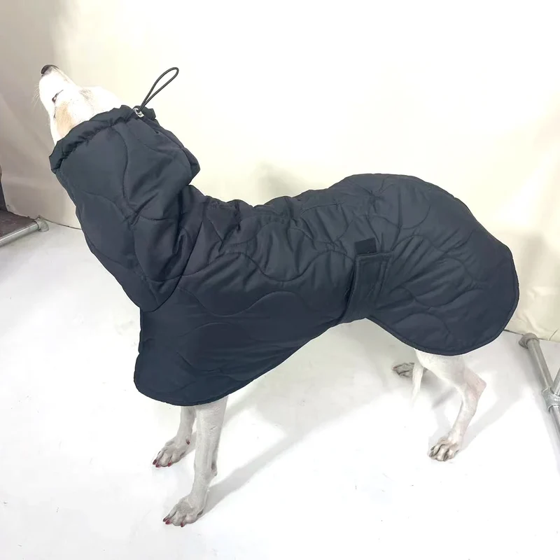 Manteau d'Hiver Noir Col Montant Lévrier Greyhound