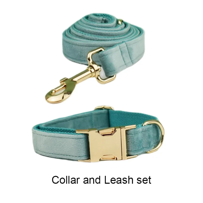 Collier et Laisse Velours Vert Plaque Gravée Chien