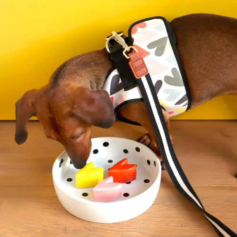 GAMELLE ANTI-GLOUTON EN CÉRAMIQUE POUR CHIEN - Ø 19CM 💛🧡🩷