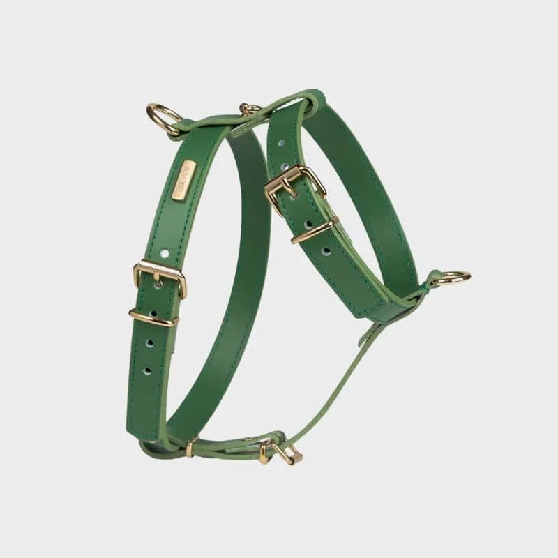 HARNAIS EN CUIR POUR CHIEN - VERT