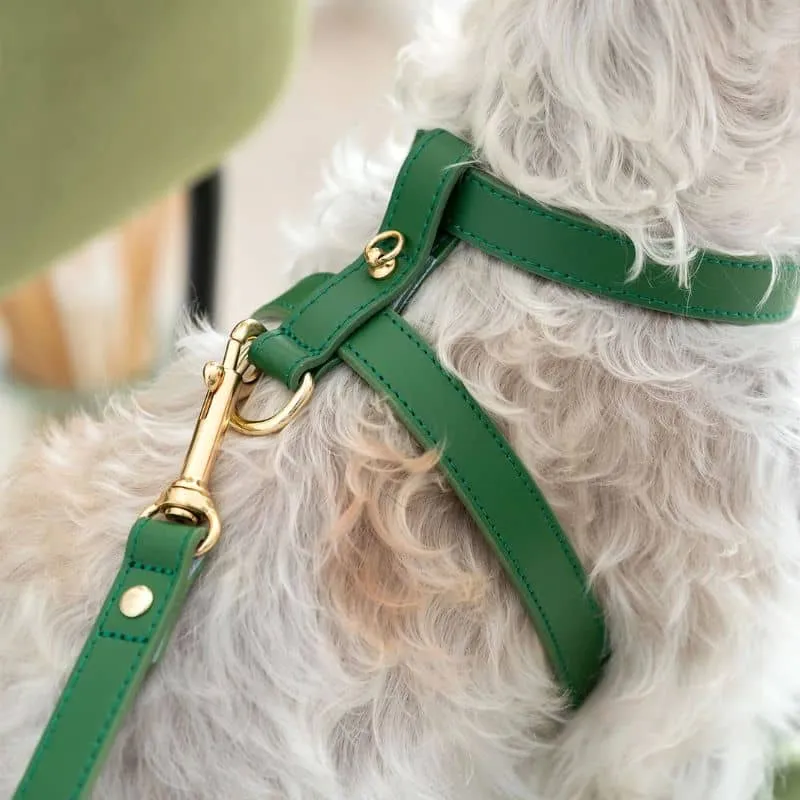 HARNAIS EN CUIR POUR CHIEN - VERT