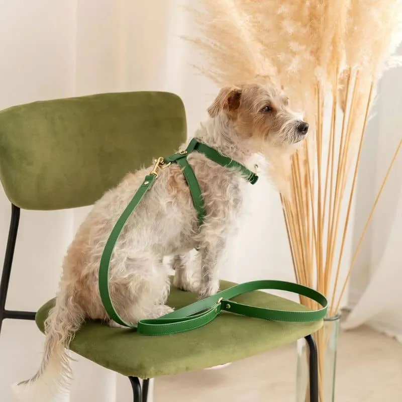HARNAIS EN CUIR POUR CHIEN - VERT