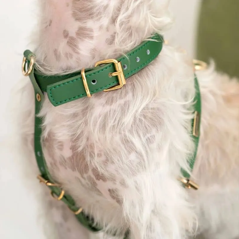 HARNAIS EN CUIR POUR CHIEN - VERT