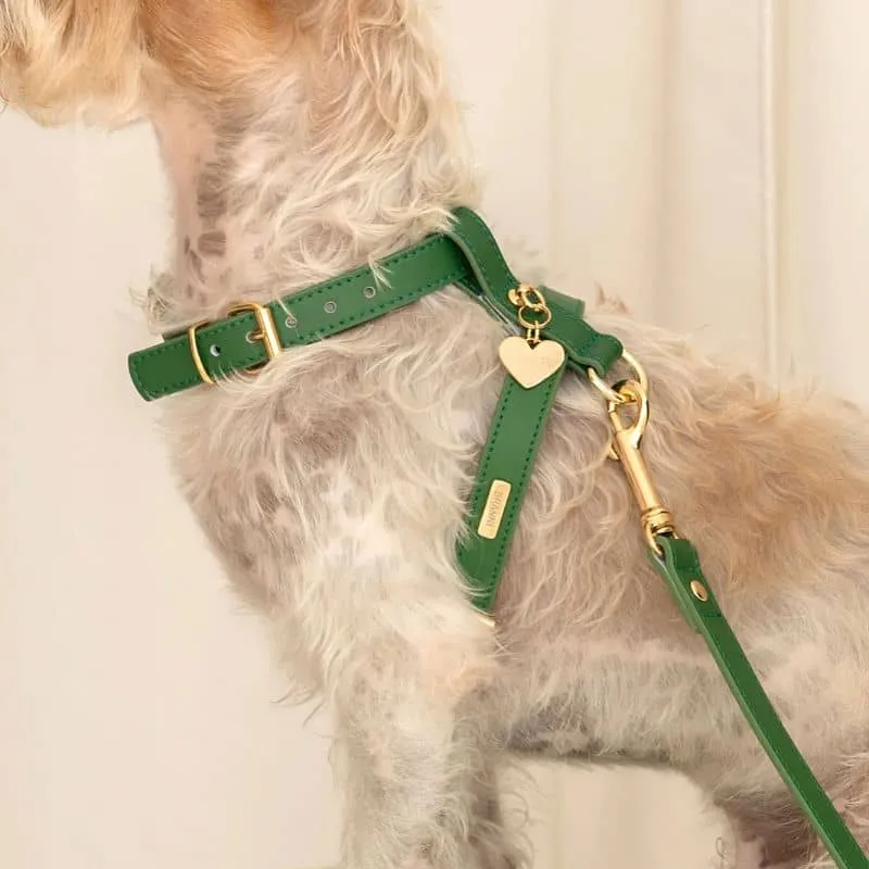 HARNAIS EN CUIR POUR CHIEN - VERT