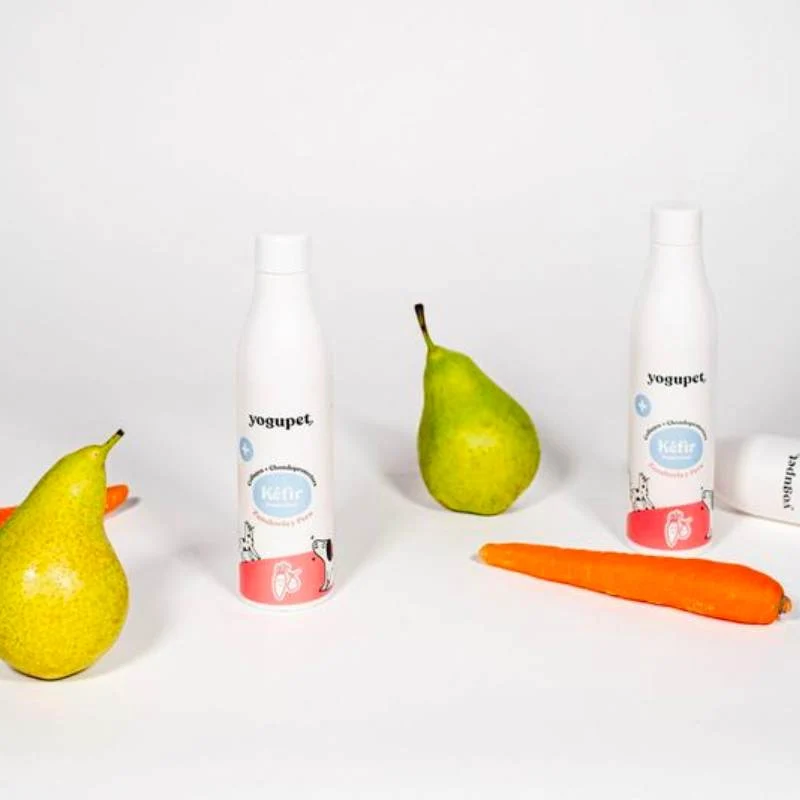 KEFIR POUR CHIEN OU CHAT - CAROTTES ET POIRES 🥕 🍐