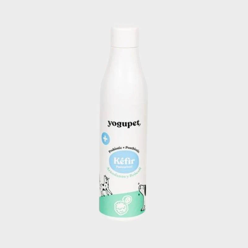 KEFIR POUR CHIEN OU CHAT - MYRTILLES ET BROCOLI 🫐 🥦