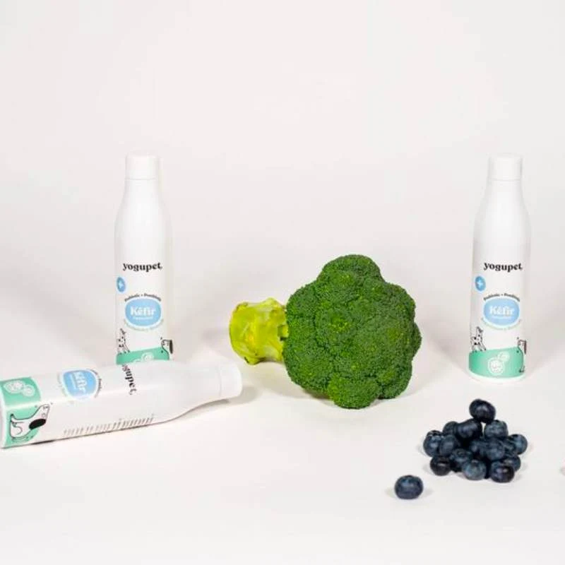 KEFIR POUR CHIEN OU CHAT - MYRTILLES ET BROCOLI 🫐 🥦