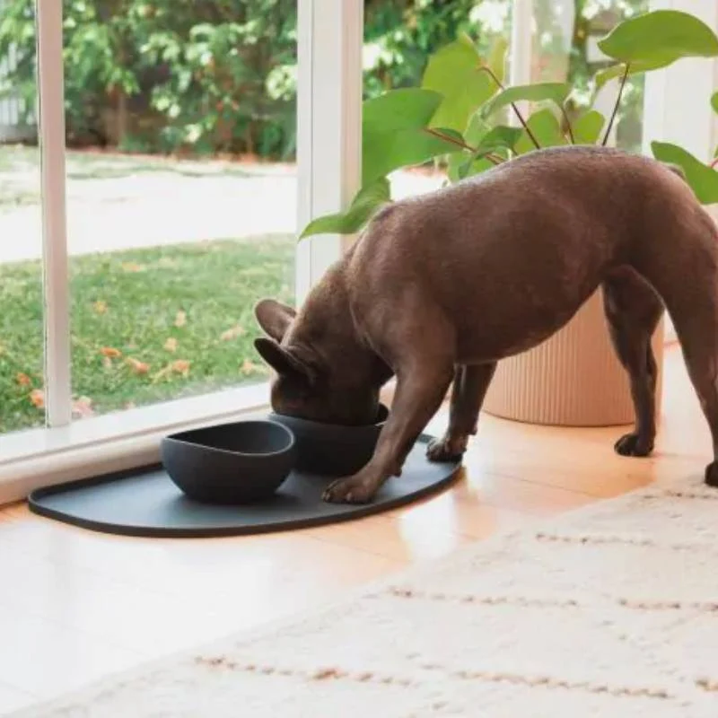 TAPIS EN SILICONE POUR GAMELLES DE CHIEN - GRIS OU BEIGE