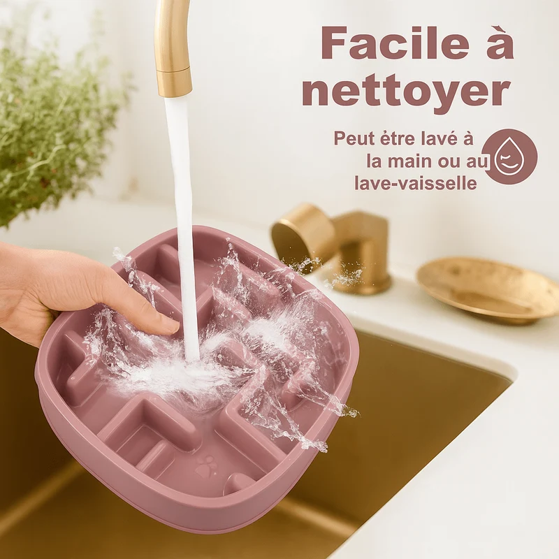 Gamelle Anti-Glouton Gros Chien