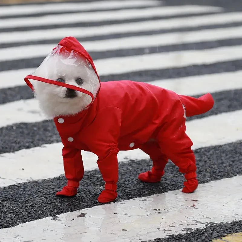 Combinaison Imperméable Intégrale Gros Chien