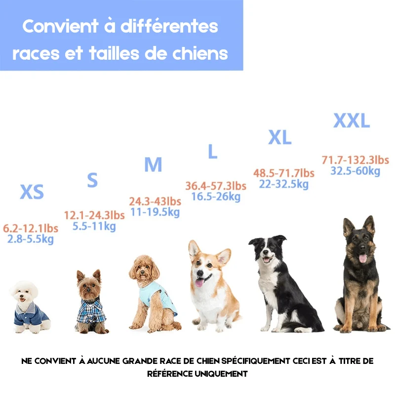 Gilet Sauvetage Flottaison Gros Chien