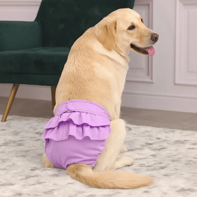 Culotte Menstruelle Réutilisable Chienne Hygiène