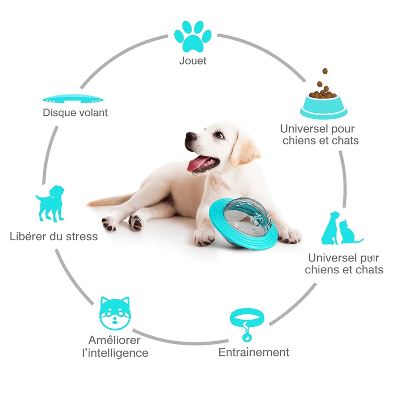 Jouet Interactif Distributeur Croquettes Gros Chien