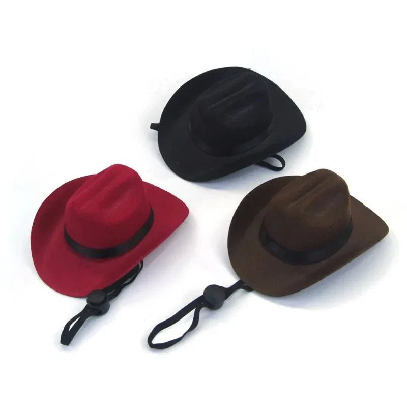 Chapeau Cowboy Western Costume Chien Original