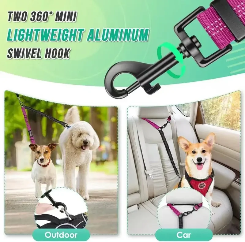 Laisse Double Anti-Traction Amortisseur Gros Chien